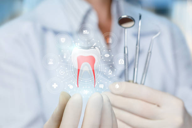 Best Dental Exams and Cleanings  in Camden, TN